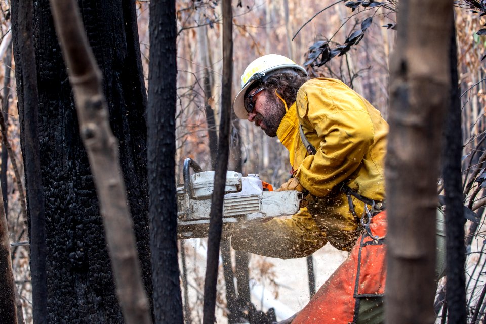 US Task Force faller cutting hazard trees