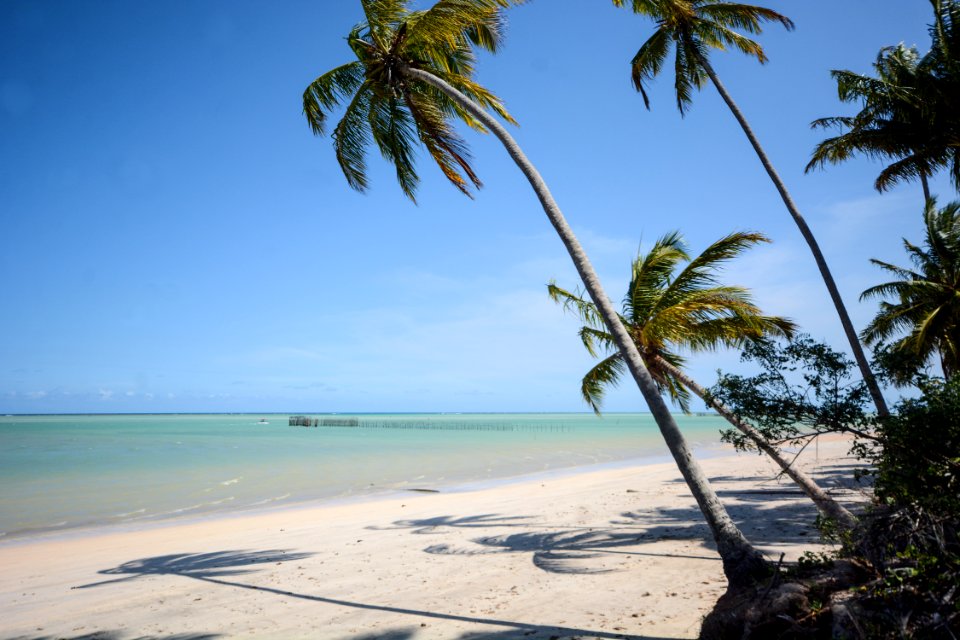 Marco Ankosqui Praia de Mangue Maragogi-AL