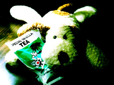 Special Vanilla Tea (Seychelles)