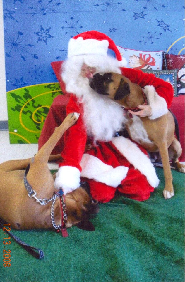 Santa taken down by boxers