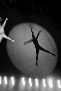 acrobat on a trapeze at the circus