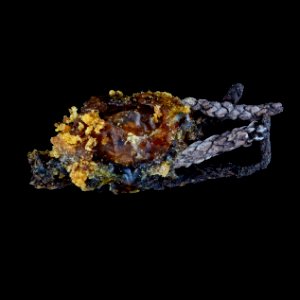 Dianthidium sp. nest