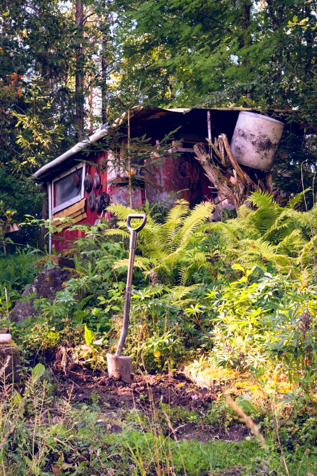 Old shed