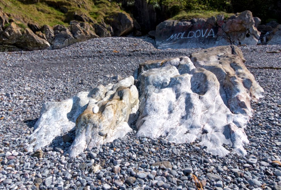 Hopes Nose Cove 11 may 2019-23