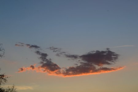 Nube