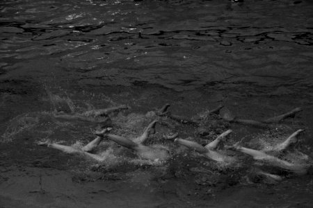 Lori Gillan 2019-02-20-Artistic Swimming Competition-3