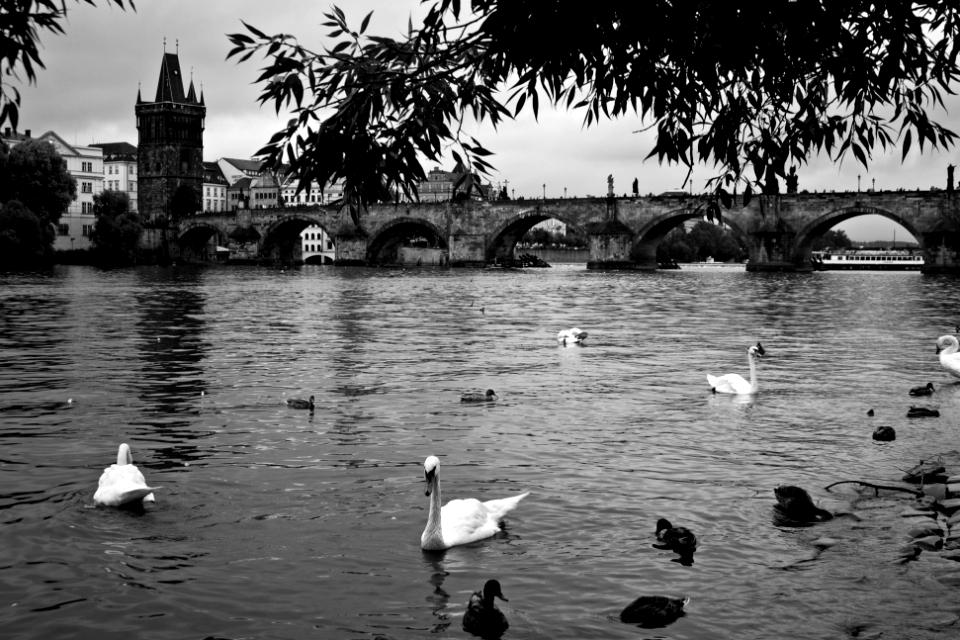 praha-3