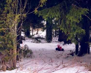 Abandoned toy truck photo