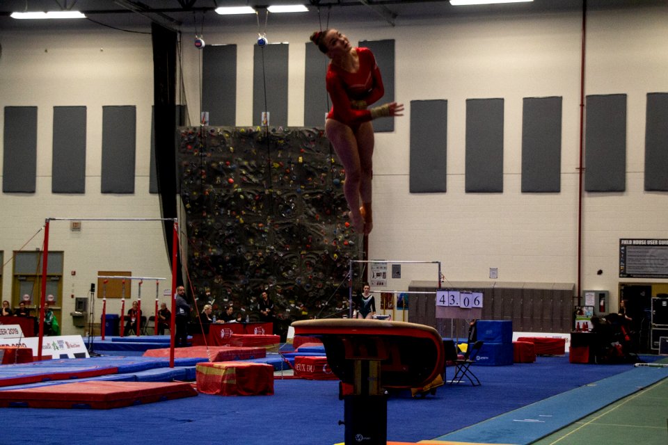 Lori Gillan 2019-02-19- Gymnastics Ladies-1