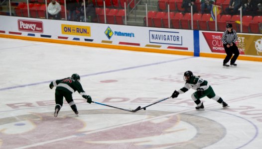 Lori Gillan-02-27-2019 - Ladies Hockey (42 of 51)