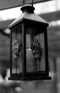 Lantern photo