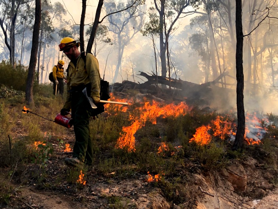 Working on the Fireline
