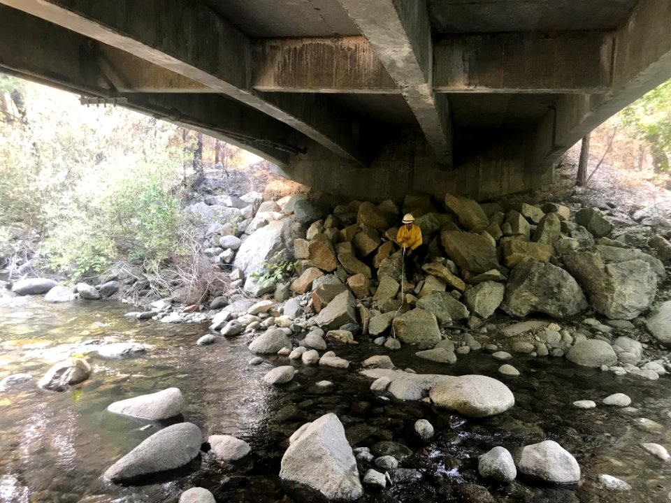 Carr Fire Emergency Stabilization