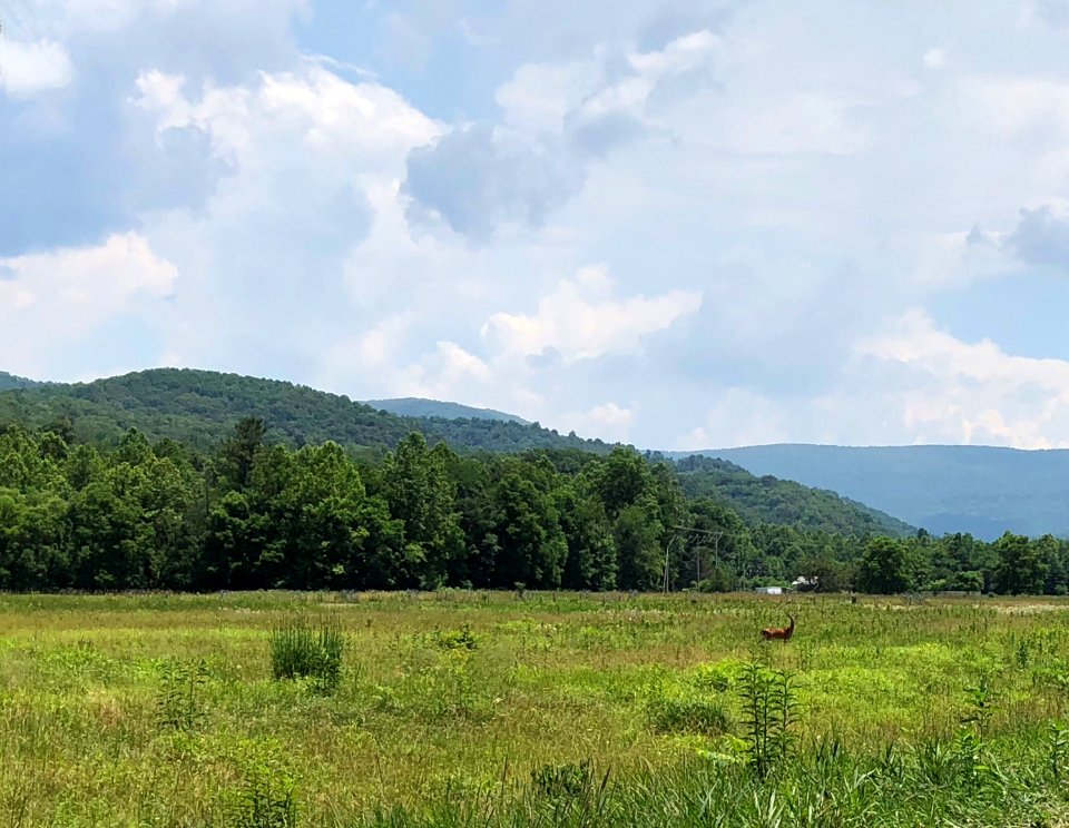 20180704-FS-Monongahela-KMB-477