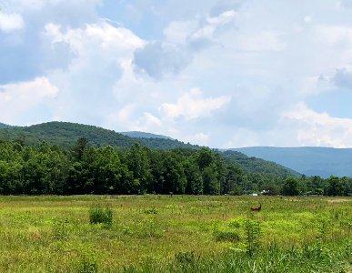 20180704-FS-Monongahela-KMB-477