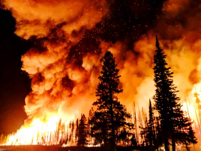 2020 Photo Contest: Land We Protect