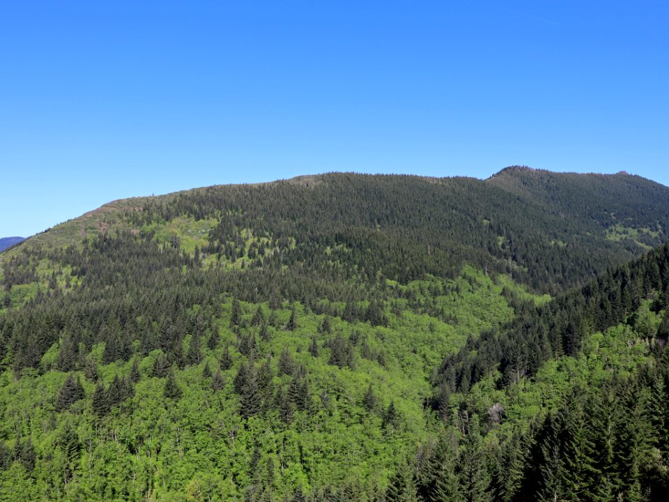 Hamilton Mountain in WA