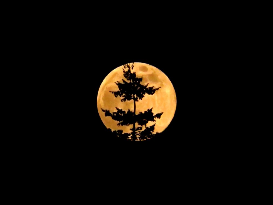 Full Moon in Vancouver, WA