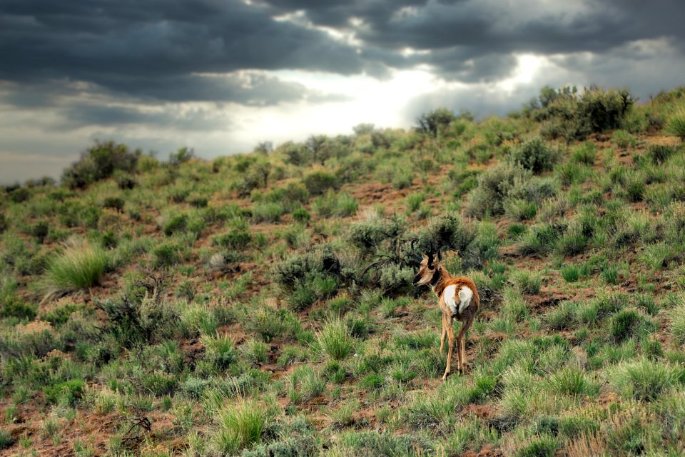 2020 Photo Contest: Land We Protect