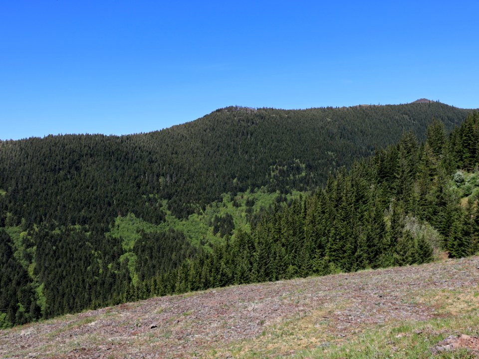 Hamilton Mountain in WA