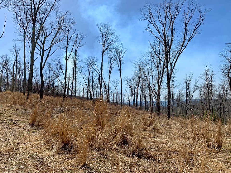 20210322-FS-Monongahela-KMB-1050