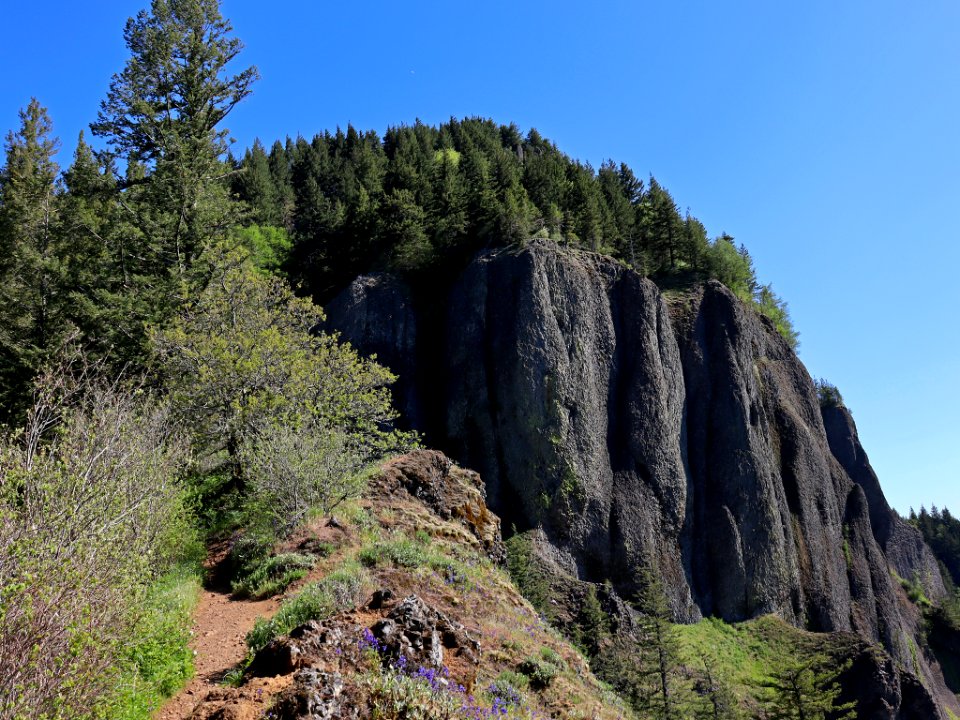 Hamilton Mountain in WA photo