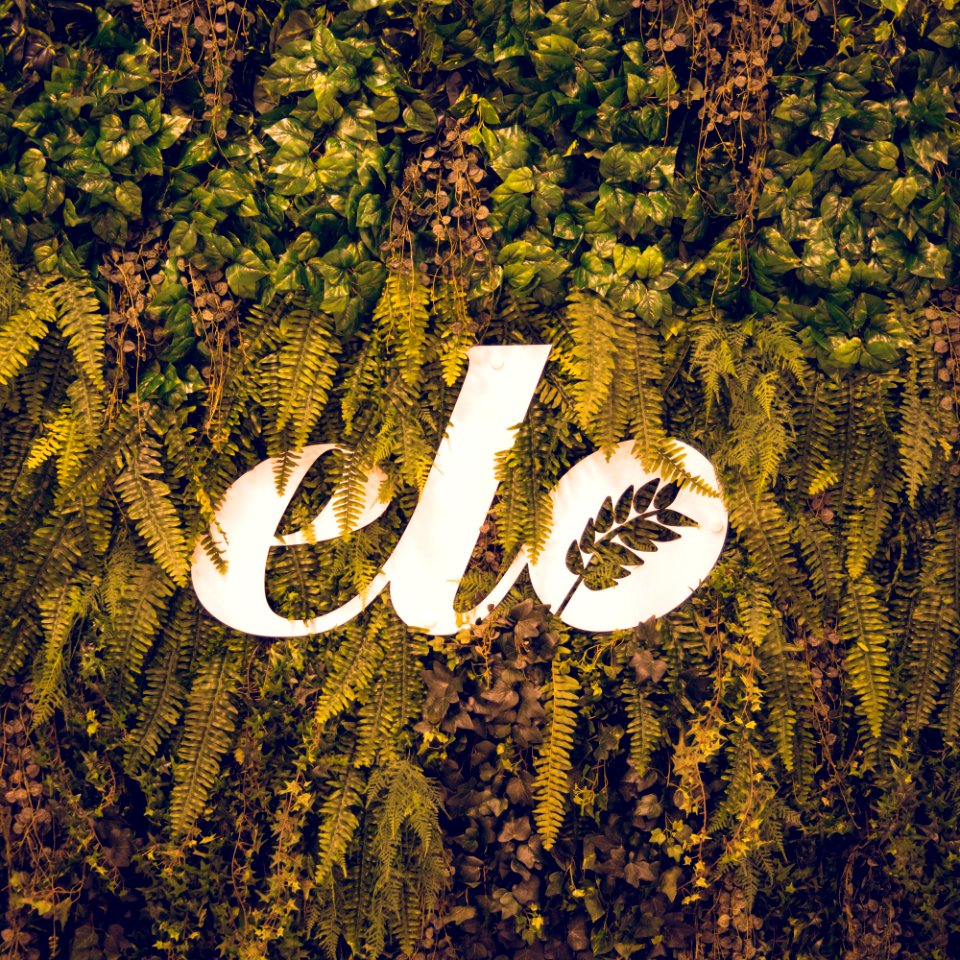 ELO