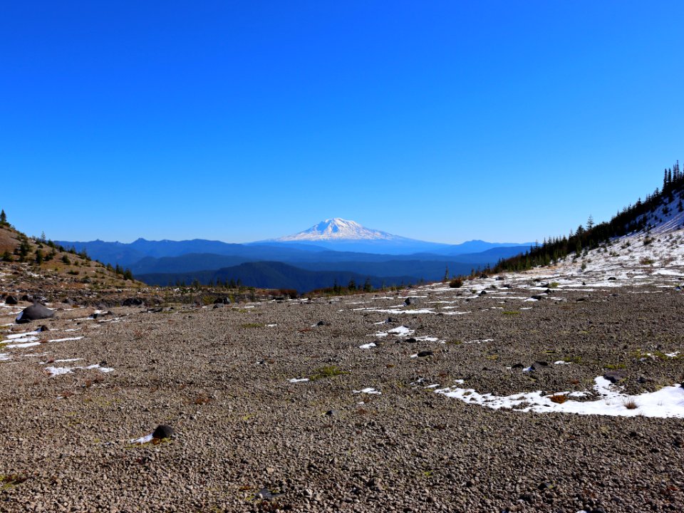 Mt. Adams at Ape Canyon Trail in WA
