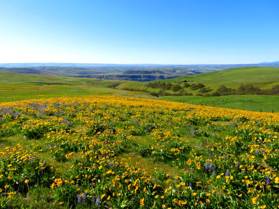 Dalles Mountain Ranch in WA