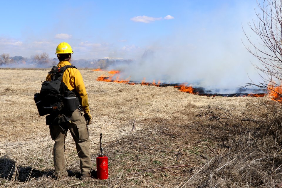 Leavitt Prescribed Fire