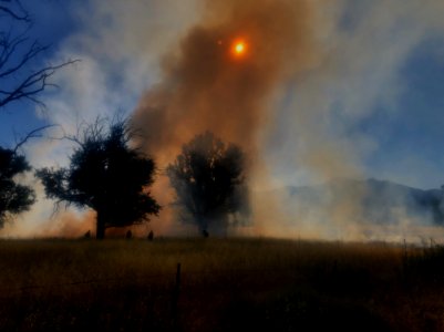BLM Fire and Aviation Photo Contest 2020
