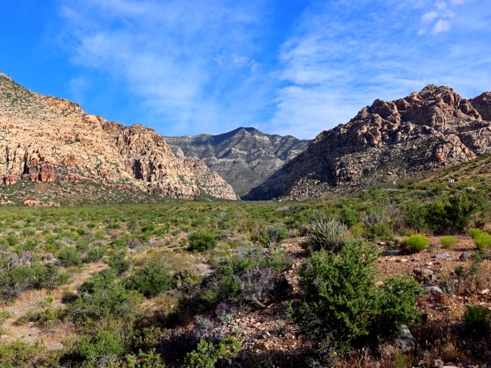 Red Rock Canyon in NV