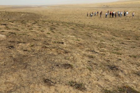 Fuel Break Stops Wildfire