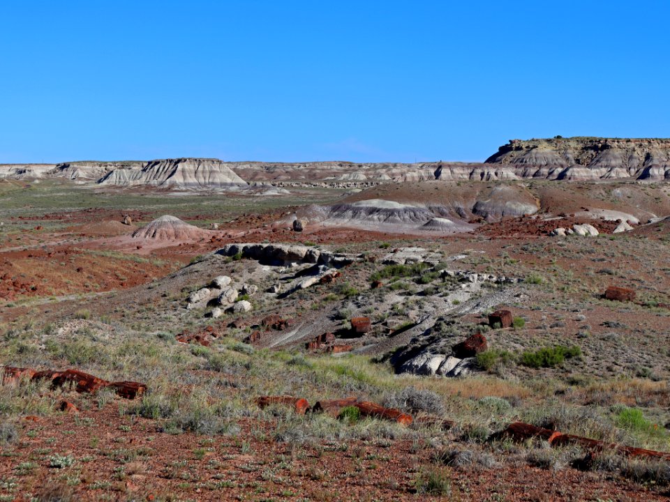 Petrified Forest NP in AZ