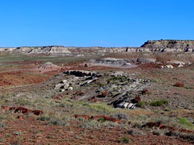Petrified Forest NP in AZ