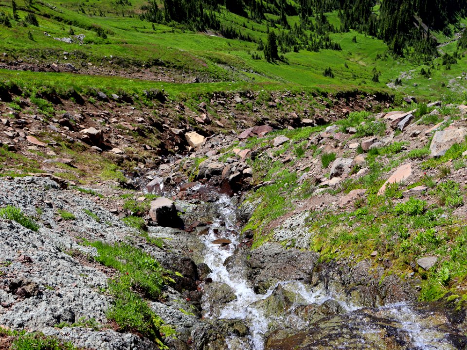 Goat Rocks Wilderness in WA