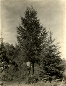1923-FS-Monongahela-UNK-002