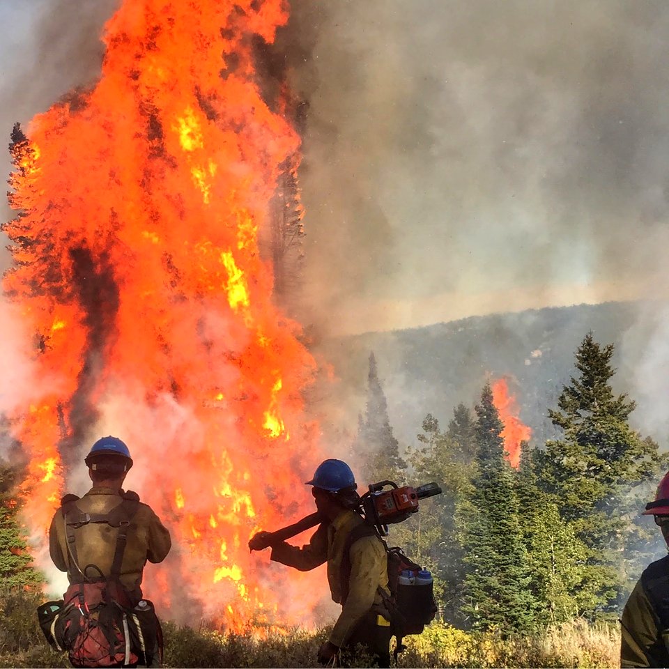 2020 BLM Photo Contest: Crews