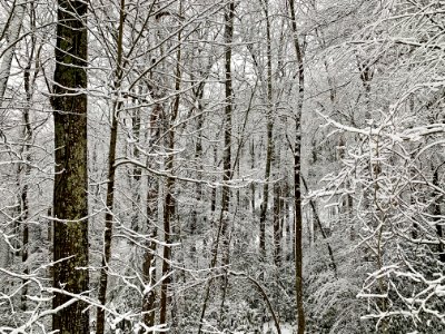 20210211-FS-Monongahela-KMB-079