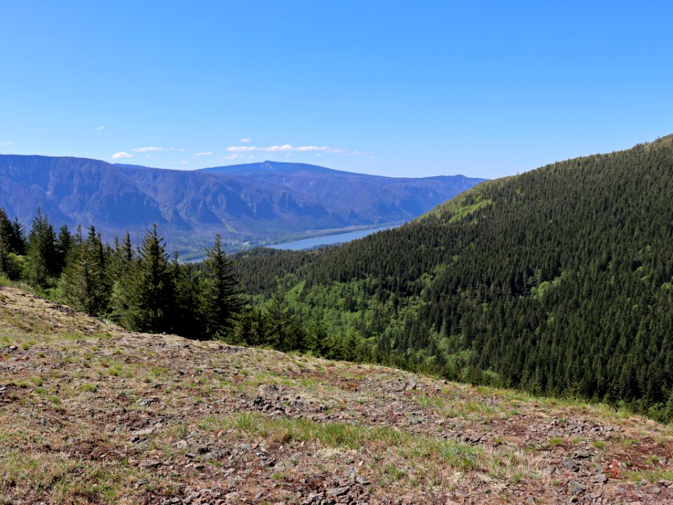Hamilton Mountain in WA