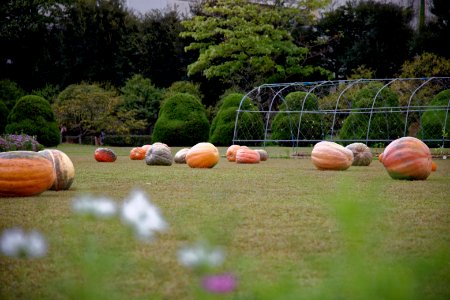 IMG 1483 DxO