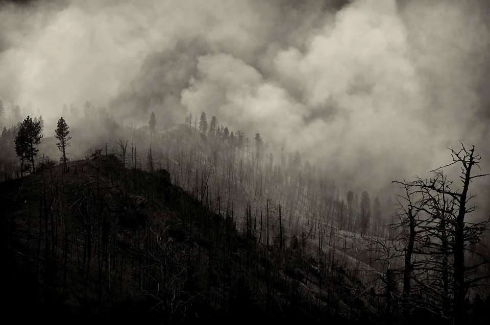 2020 Photo Contest: Land We Protect