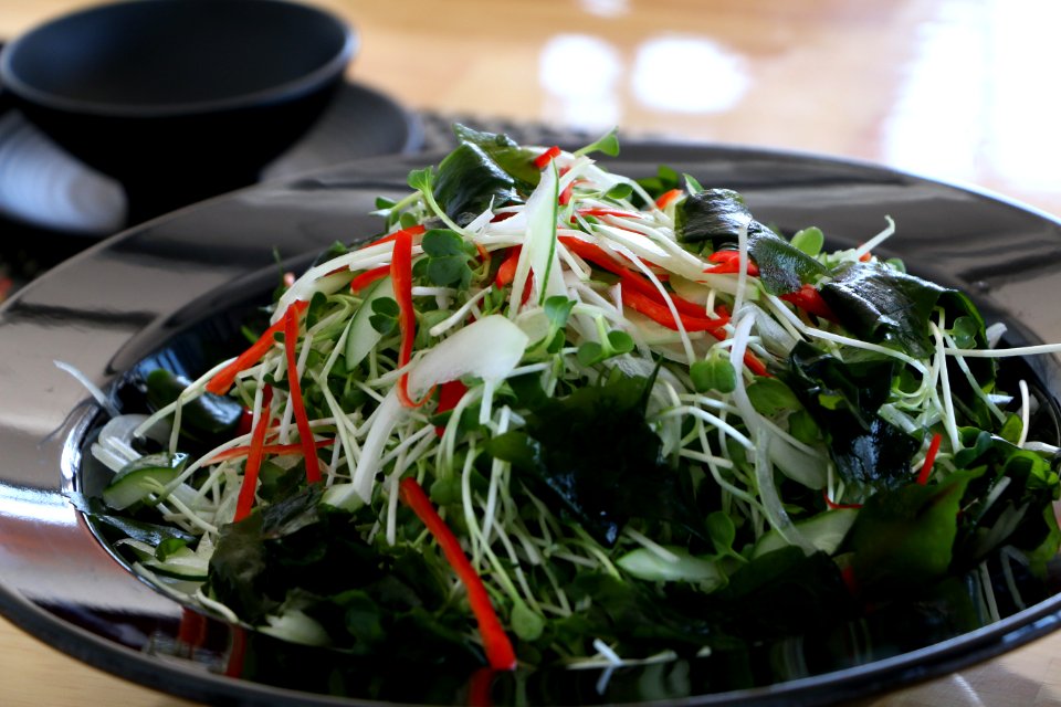 salad rau mầm rong biển 6