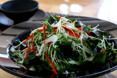 salad rau mầm rong biển 6