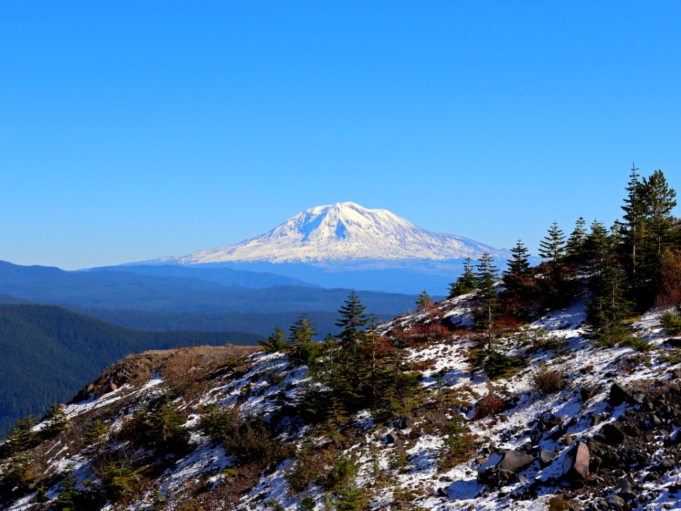 Mt. Adams at Ape Canyon Trail in WA