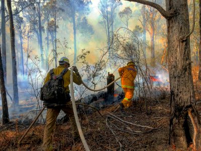 Helping in Australia