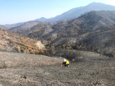 Carr Fire Emergency Stabilization