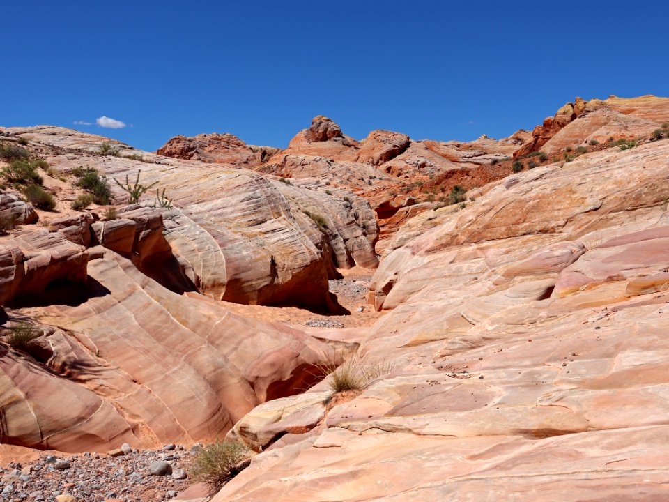 Pink Canyon at Valley Of Fire SP in NV