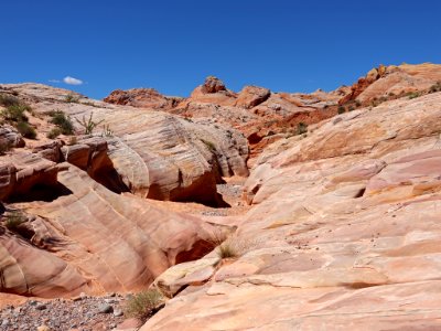 Pink Canyon at Valley Of Fire SP in NV photo