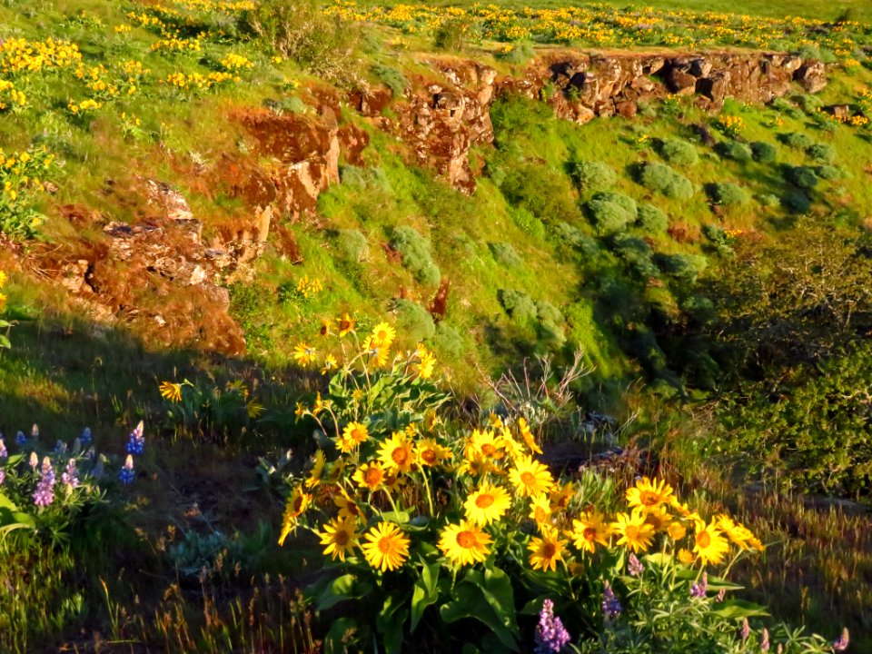 Rowena Crest in OR